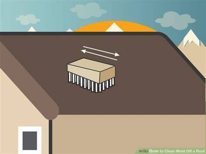 How do you clean mold off a roof?