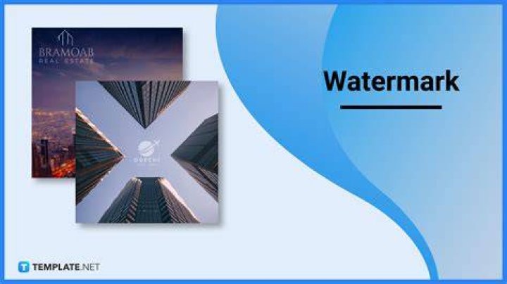 How many types of watermarks are there?