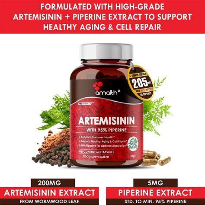 Is Artemisinin safe to take?