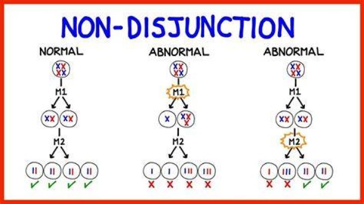 What are 3 disorders due to Nondisjunction?