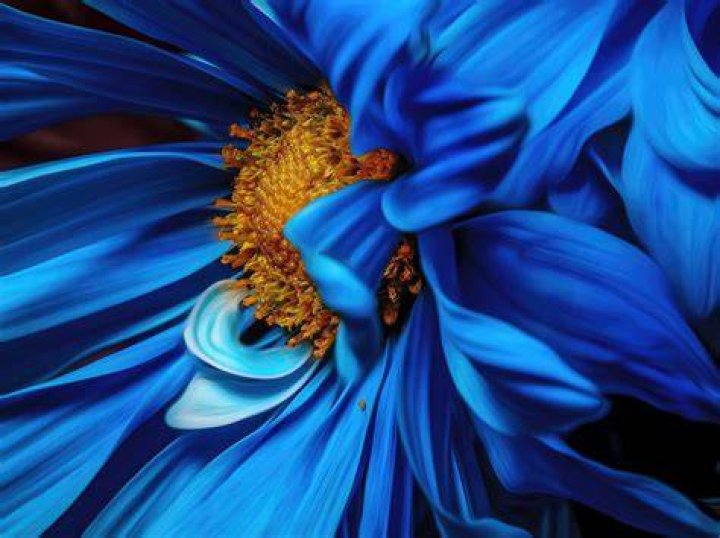 What are complementary colors in photography?