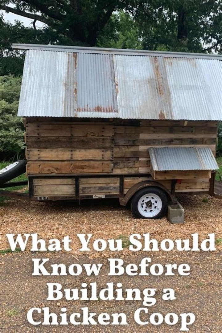 What do I need to know about building a chicken coop?
