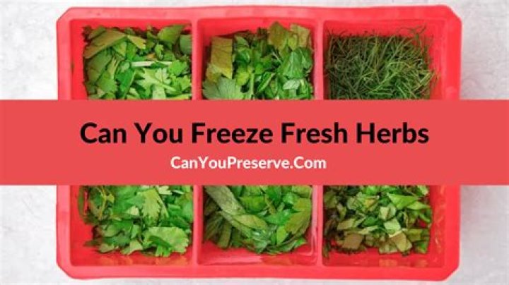 What fresh herbs can you freeze?