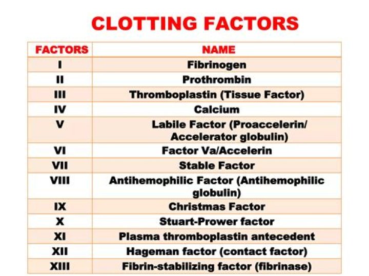 What is blood clotting factor?