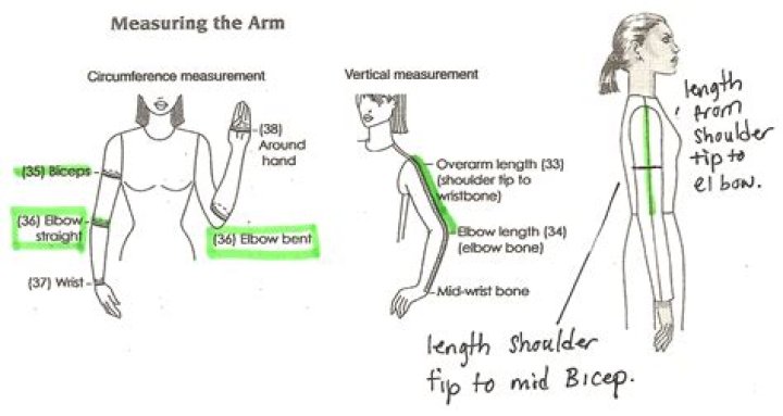What is the average length of an arm?