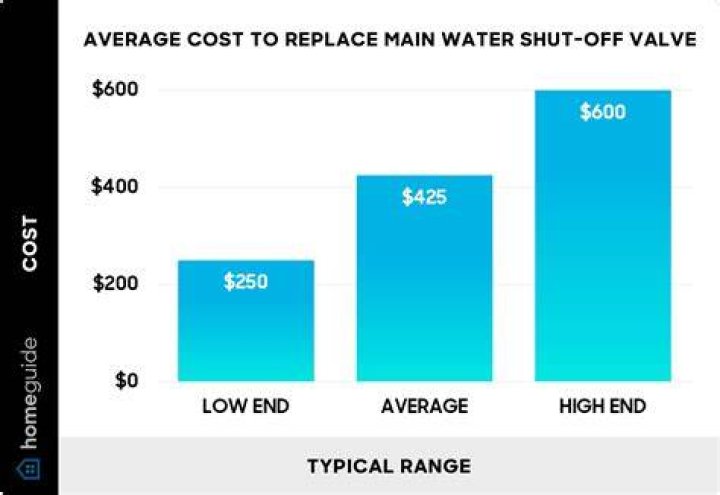 What is the cost to replace a water shut off valve?