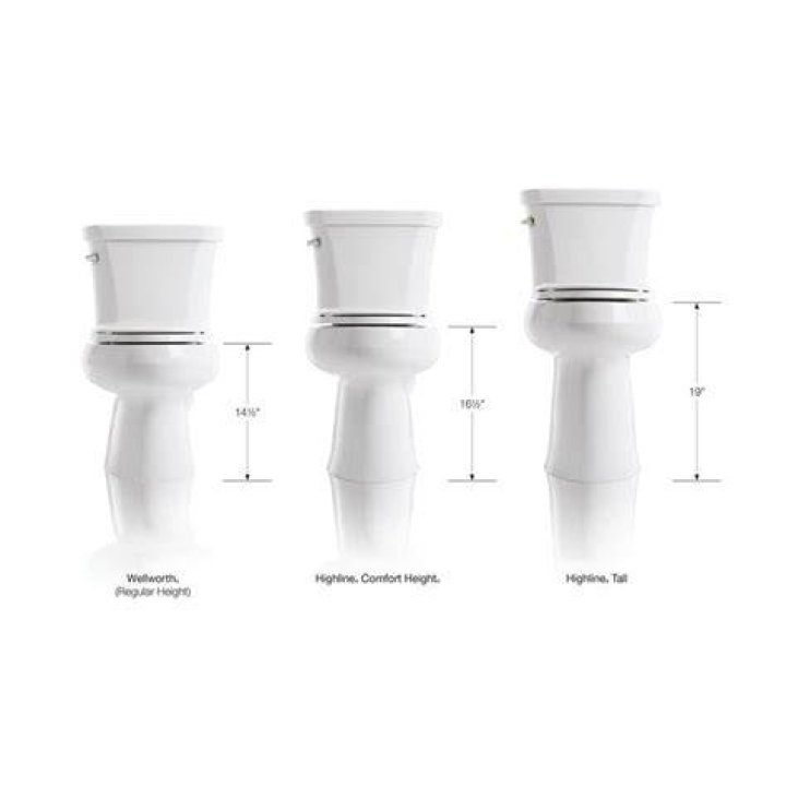 What is the highest gpf toilet?