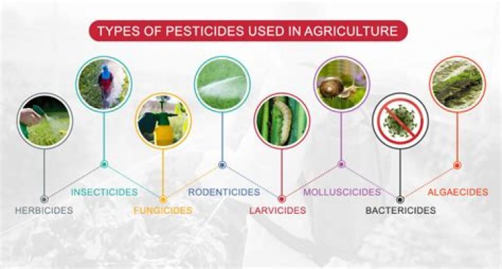 What type of pest control uses pesticides insecticides and herbicides?