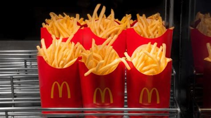 Why do McDonald's french fries not decompose?
